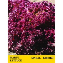 MAHAL KIRMIZI MARUL